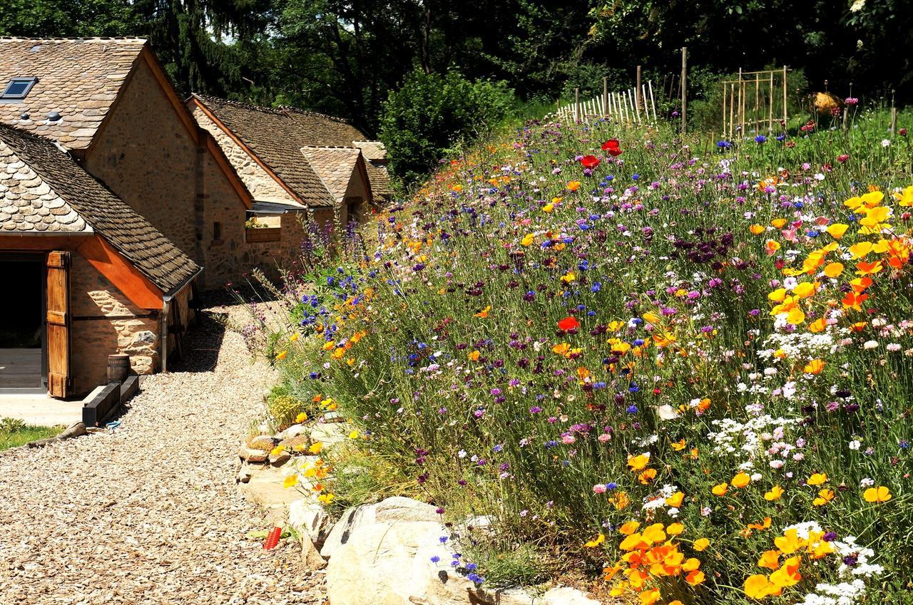 Domaine Des Marequiers Chambre Alchemille Saint-Germain-du-Teil Exteriér fotografie